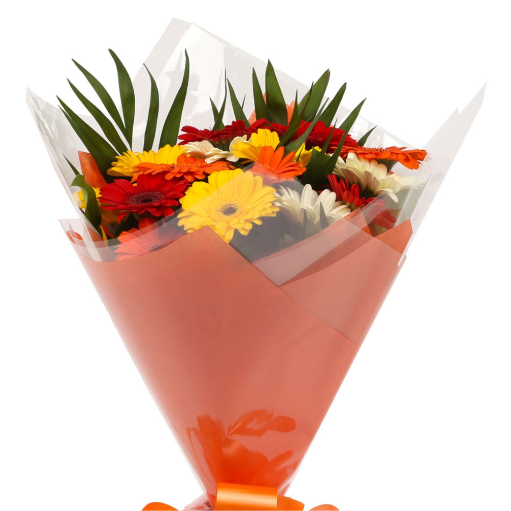 A Gerbera Special Daisy Bouquet & Get Well Balloon£16.99