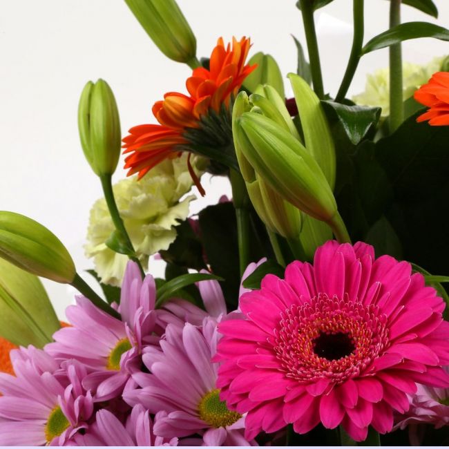 Colour Burst Flowers Bouquet£14.99