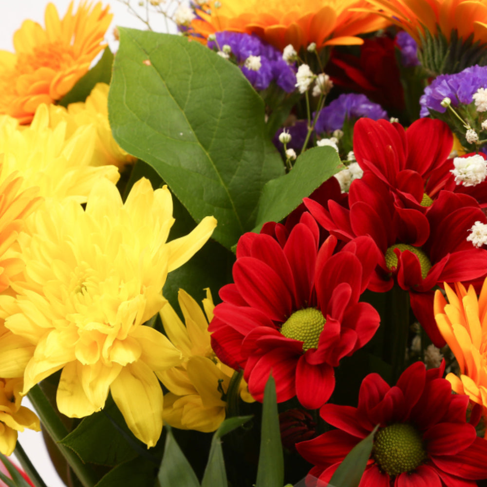 Birthday Balloon & Dazzle Star Flowers£19.99