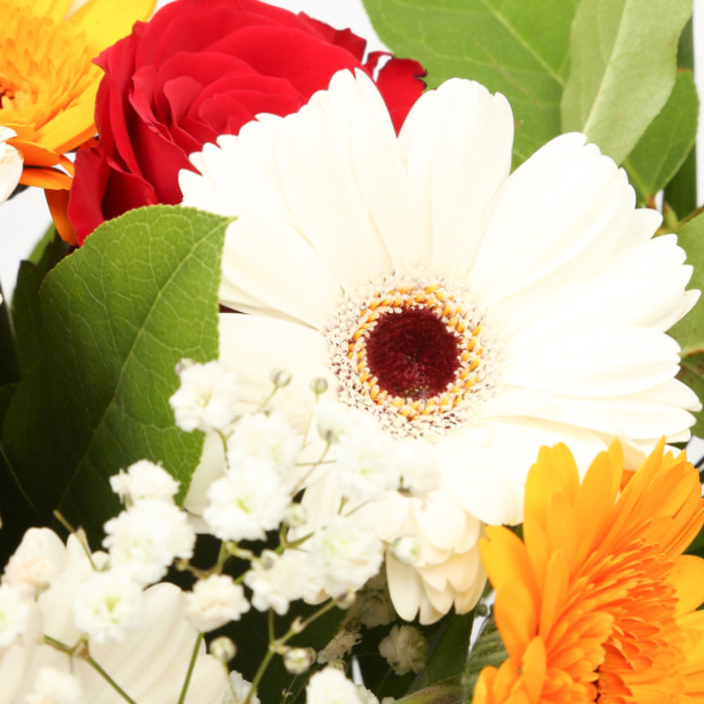 Celebration Flowers£19.99