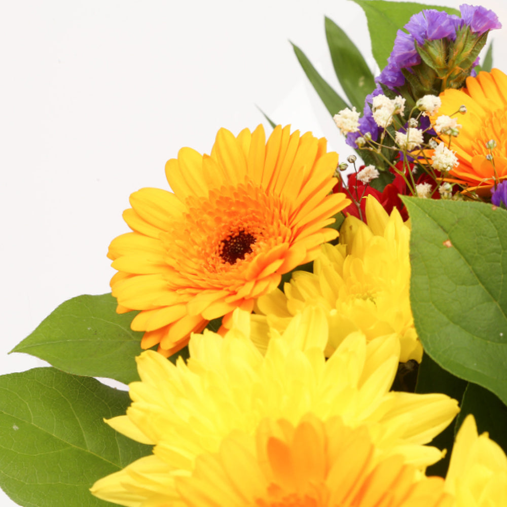 Dazzle Star Bouquet£16.99