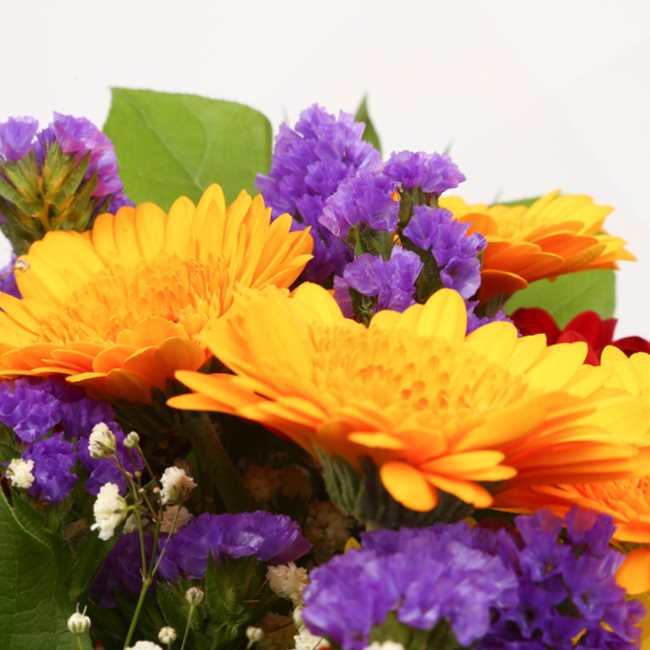 Dazzle Star Bouquet£16.99