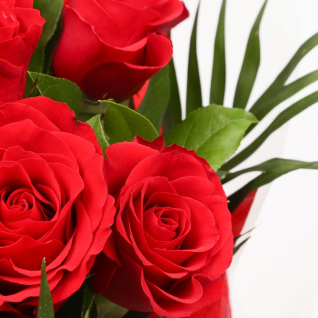 12 Red Roses£21.99