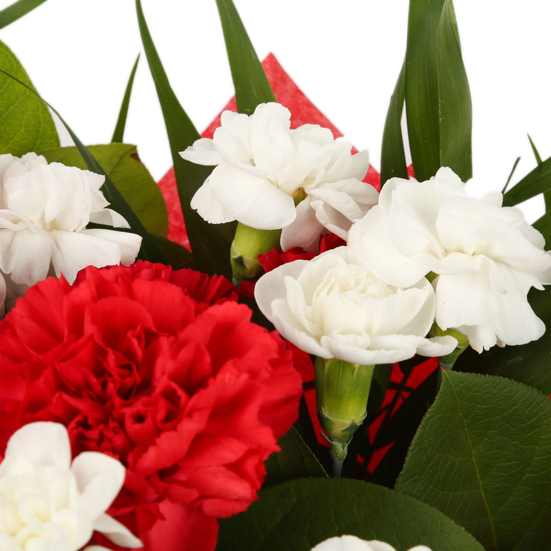 A Red & White Stars Delight & Get Well Balloon£16.99