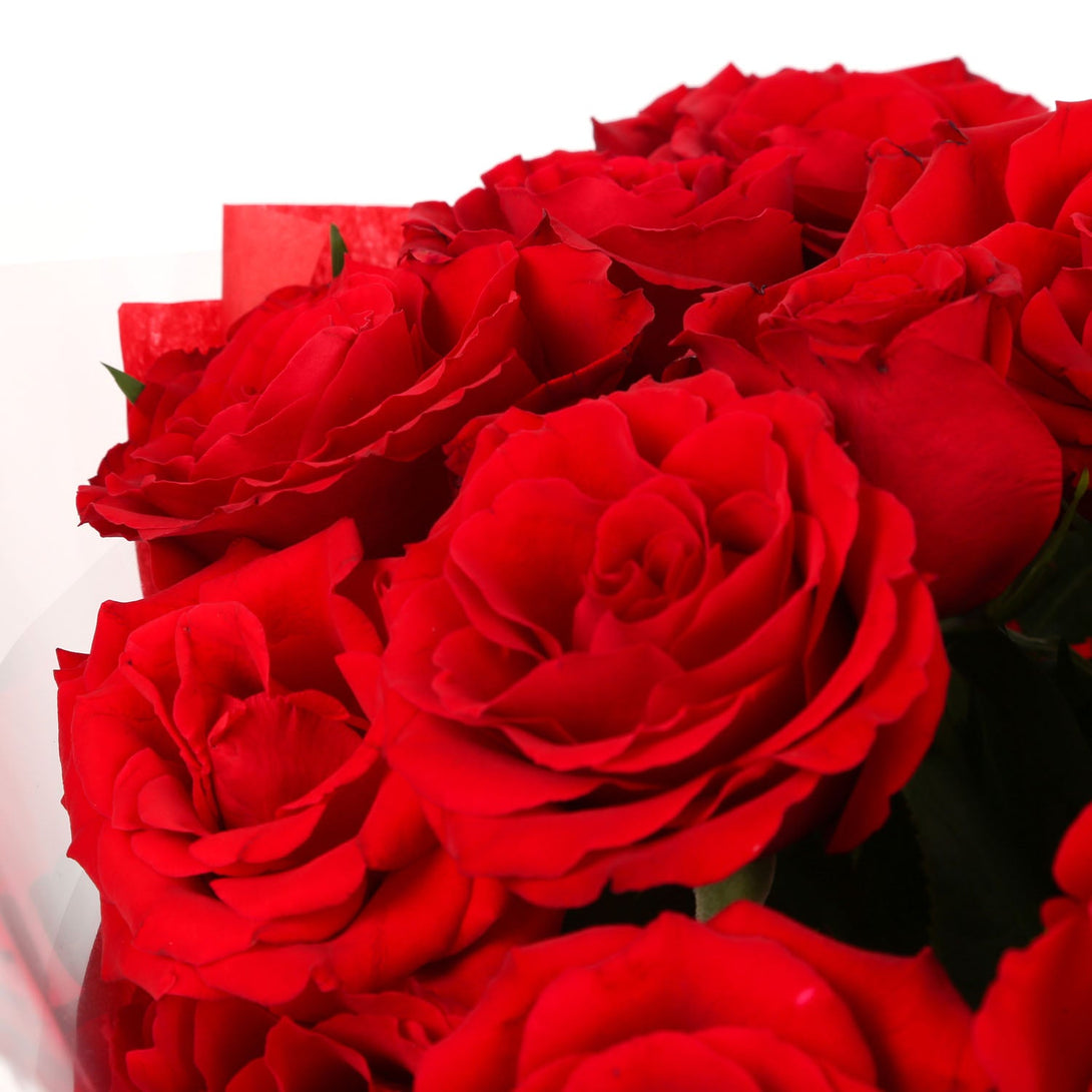 12 Red Roses Wrapped 12 Red RosesThis Beautiful 12 Red Roses Bouquet, Beautifully wrapped ...