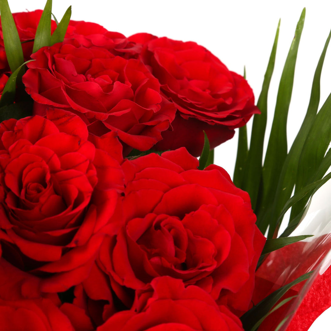 12 Red Roses£21.99