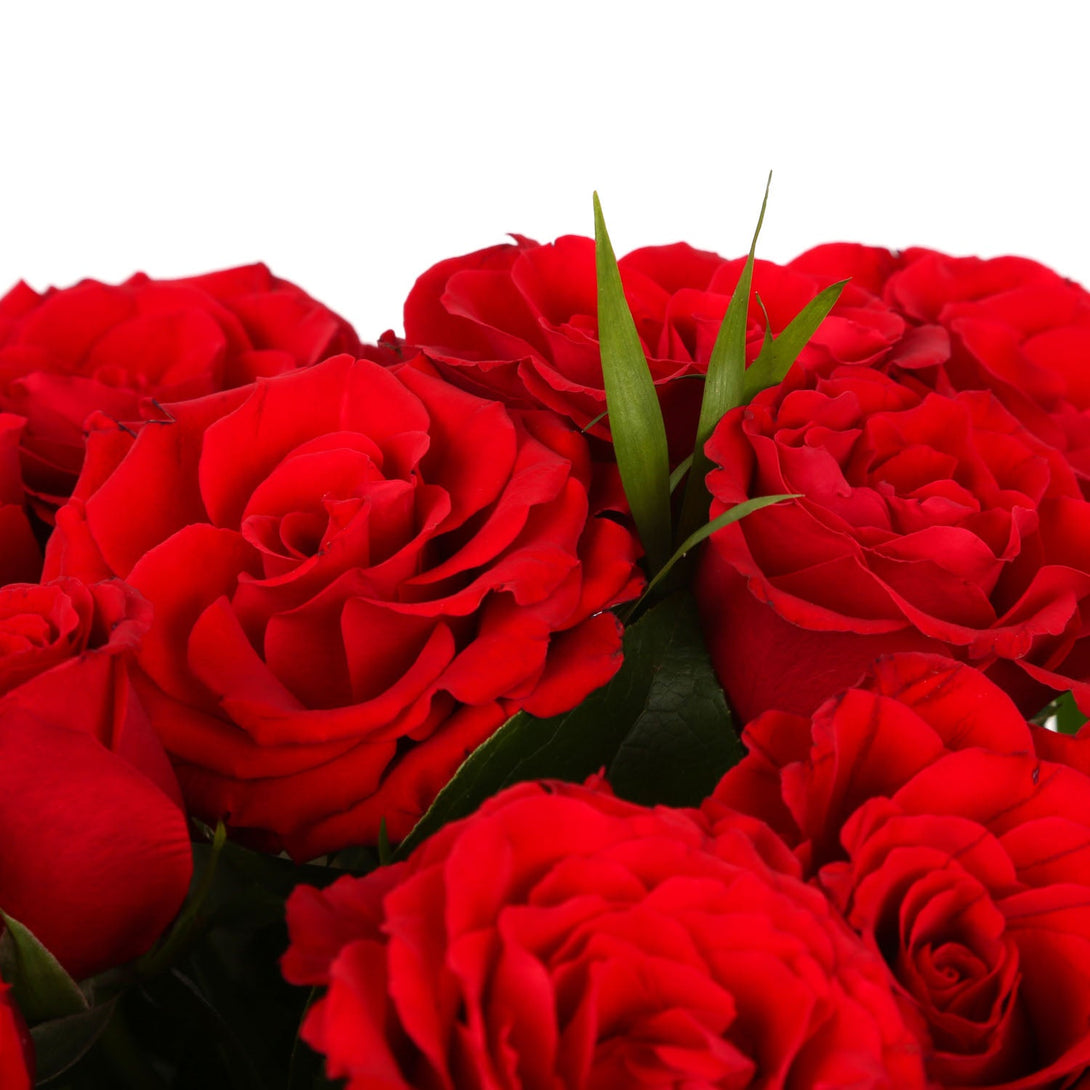 12 Red Roses£21.99