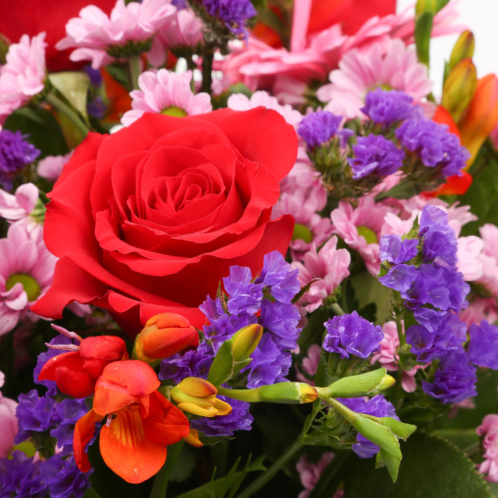 Congratulations Balloon & Red Blush Flowers£19.99