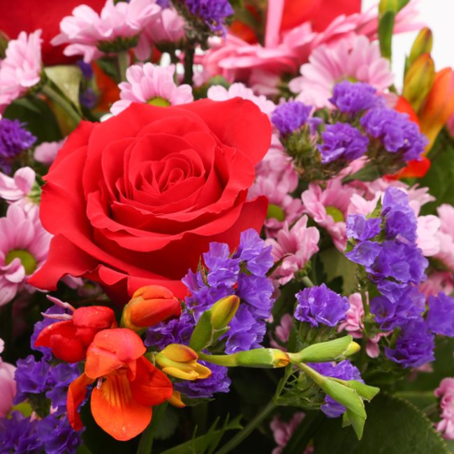 Red Blush Bouquet£16.99