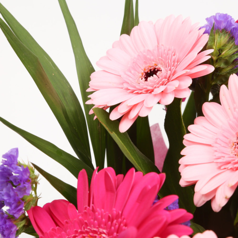 Birthday Balloon & Gerbera Blush Flowers£19.99