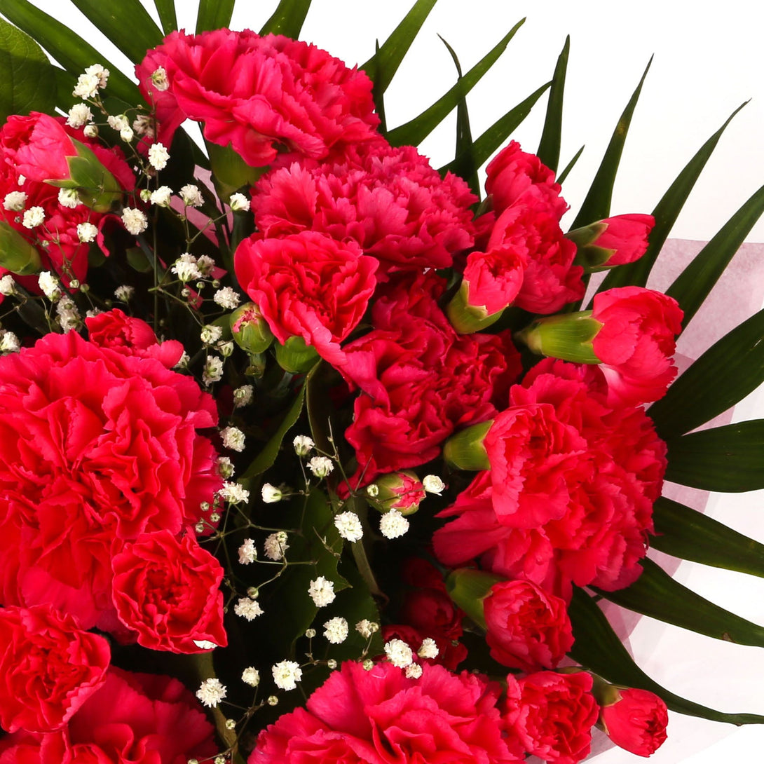 A Beautiful Red Carnations Melody & Get Well Balloon£16.99