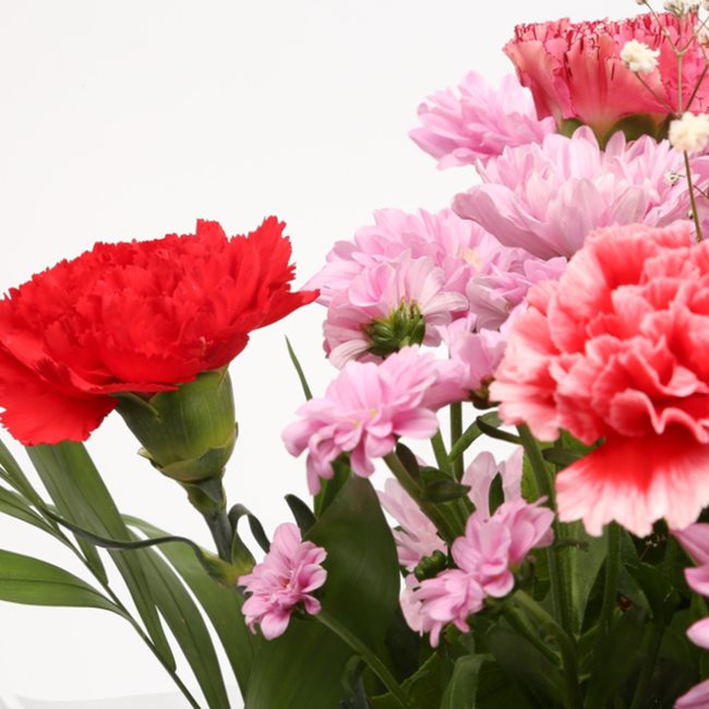 Confetti Flowers Bouquet£14.99
