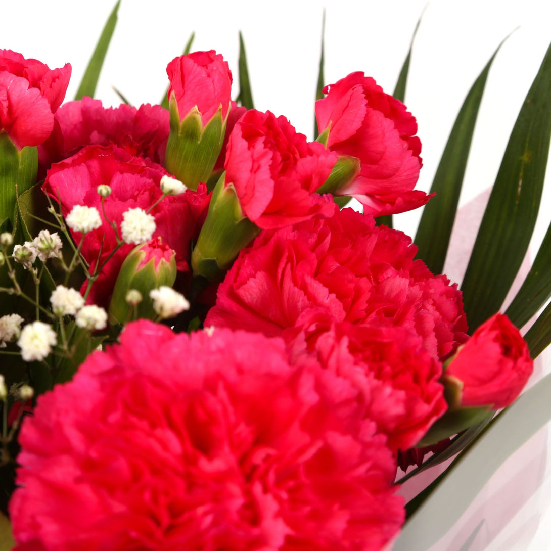 A Beautiful Red Carnations Melody & Get Well Balloon£16.99