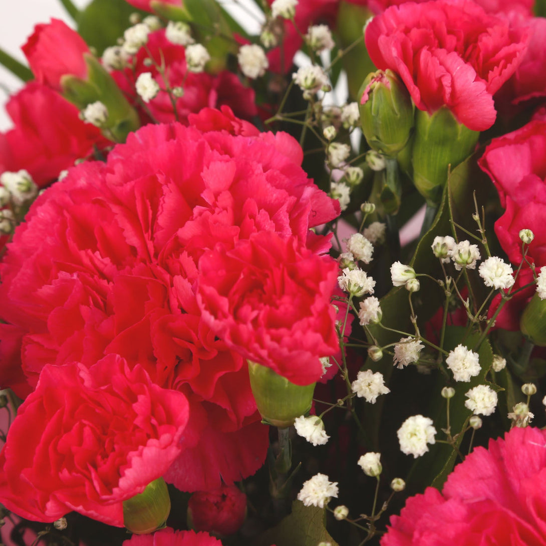 A Beautiful Red Carnations Melody & Get Well Balloon£16.99