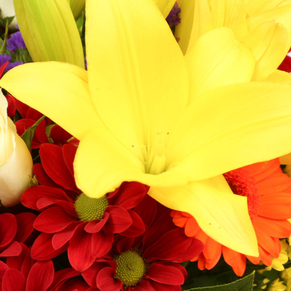 Congratulations Balloon & Sun Delight Flowers£19.99