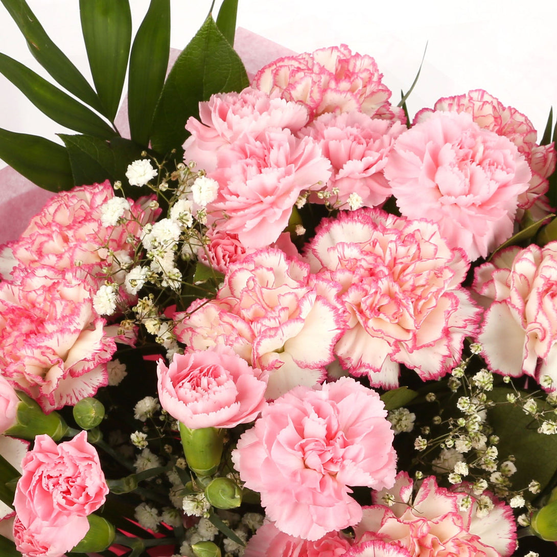 A Beautiful Pink Candy Carnations Melody & Get Well Balloon£16.99