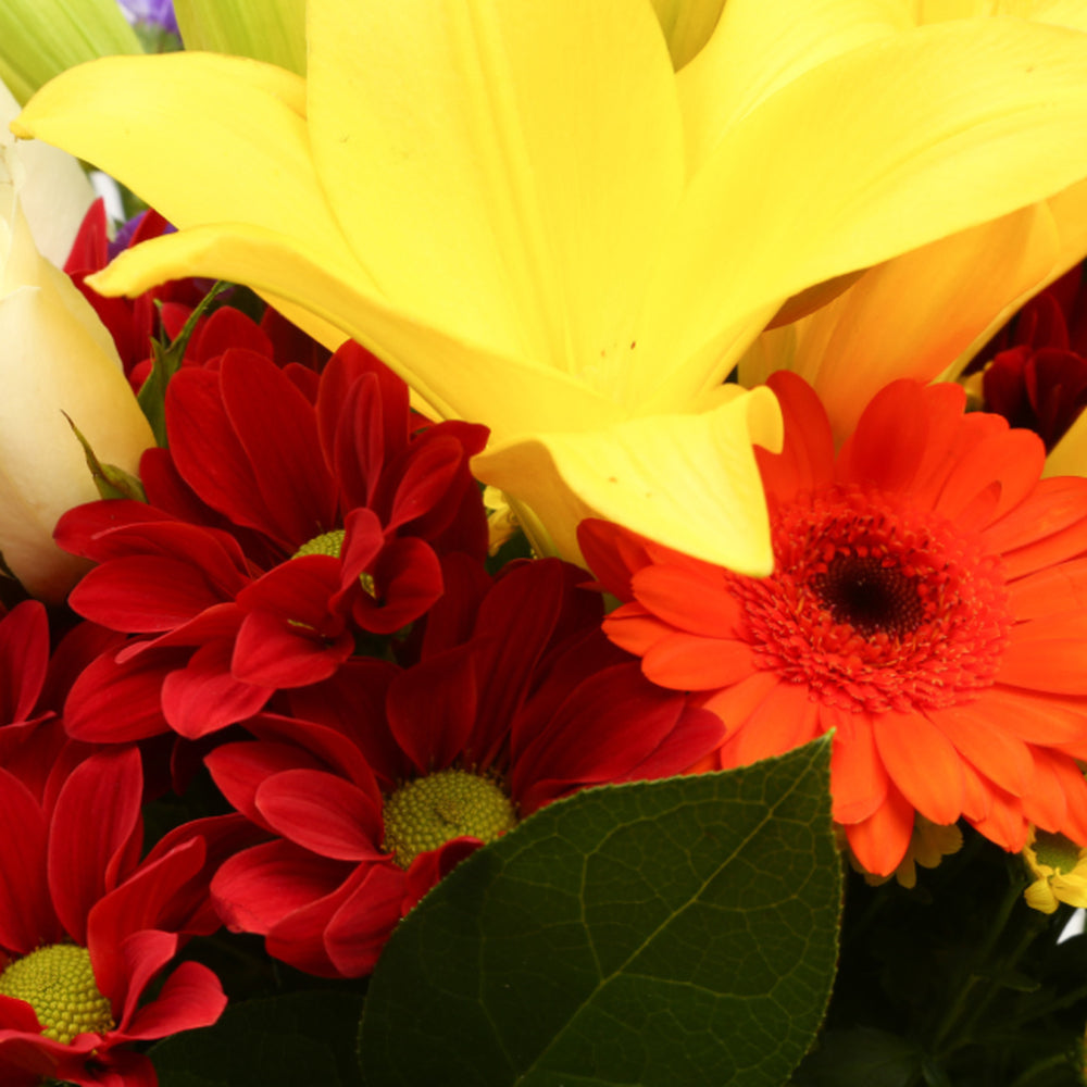 Sun Delight Bouquet£16.99