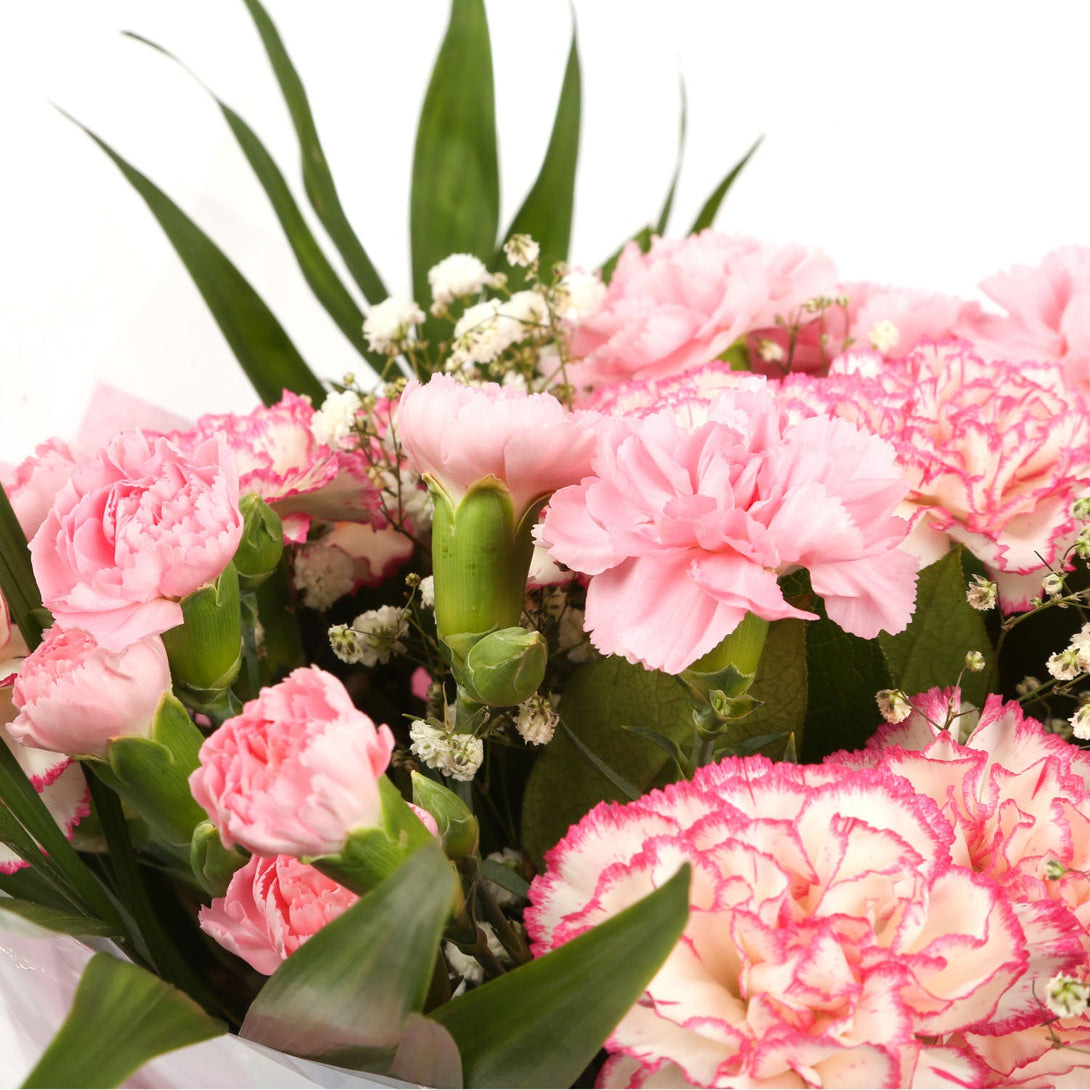 A Beautiful Pink Candy Carnations Melody & Get Well Balloon£16.99