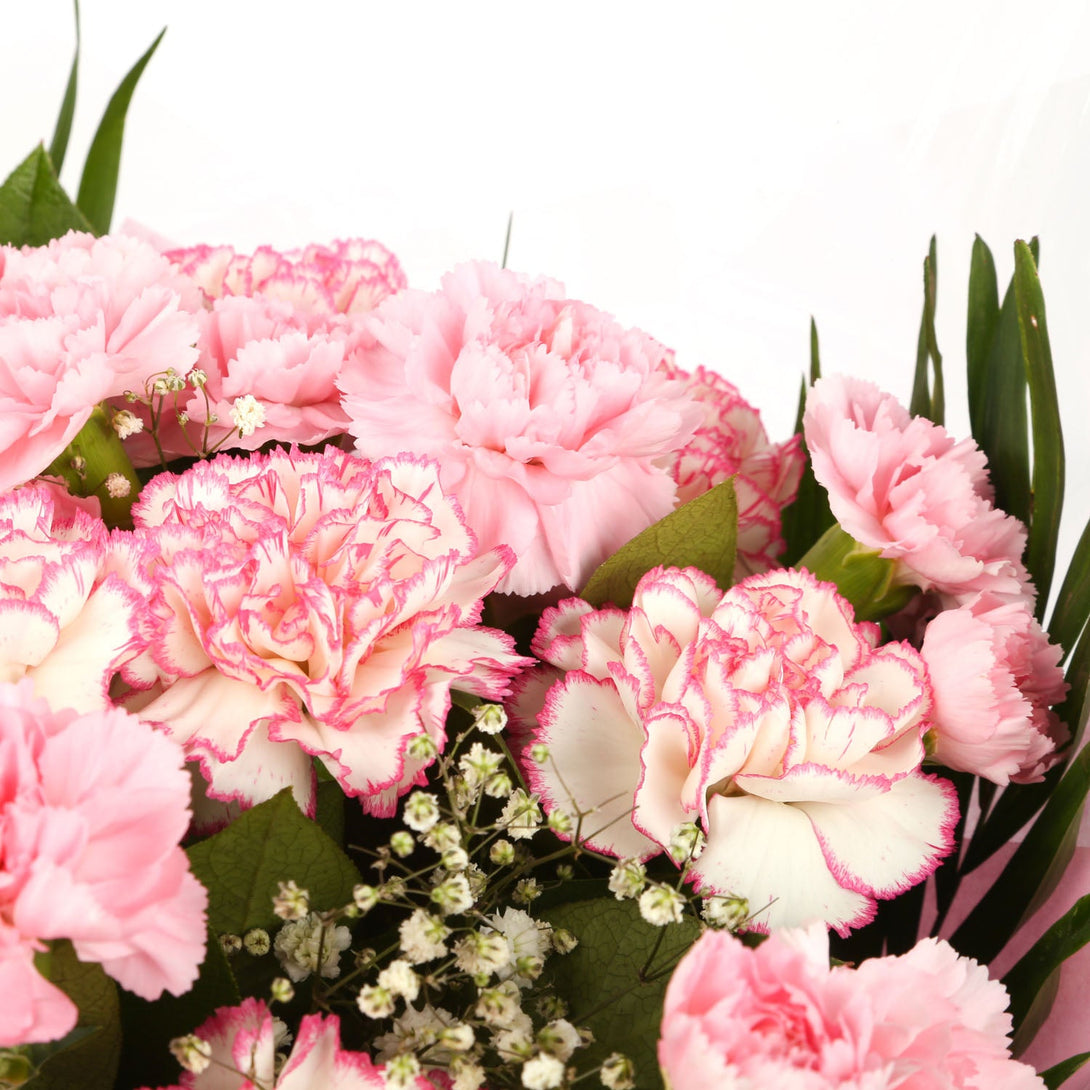 A Beautiful Pink Candy Carnations Melody & Get Well Balloon£16.99