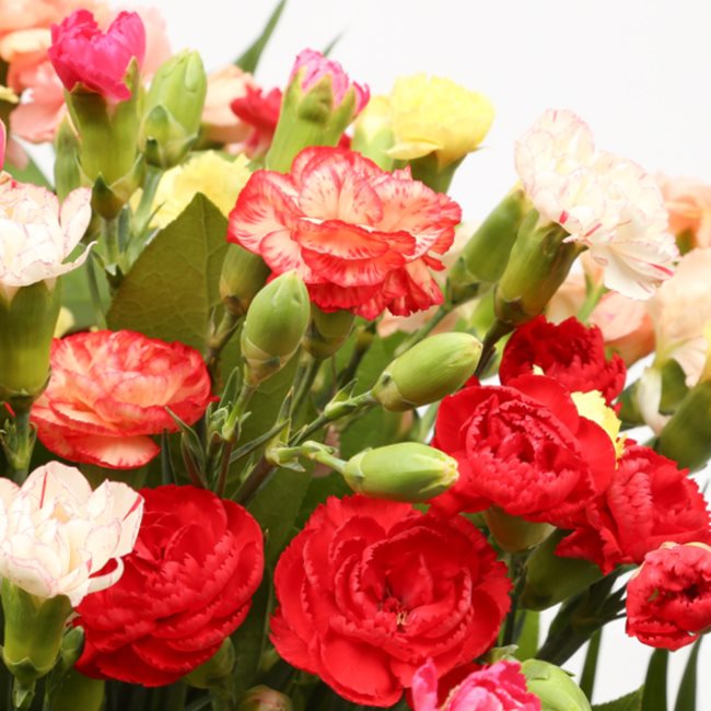 Multi Colour Star Bouquet£20.99
