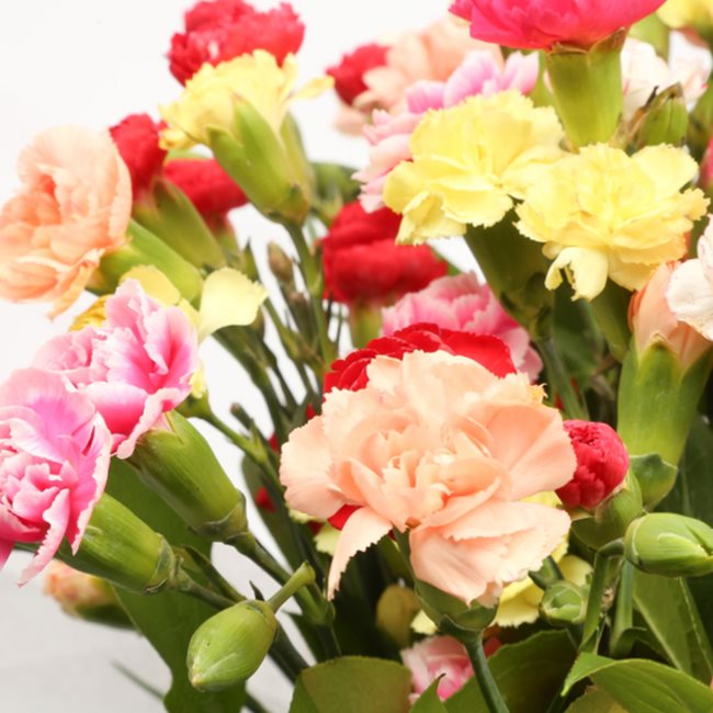 Multi Colour Star Bouquet£20.99