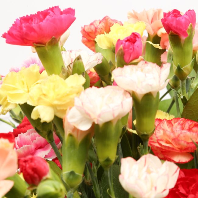 Multi Colour Star Bouquet£20.99