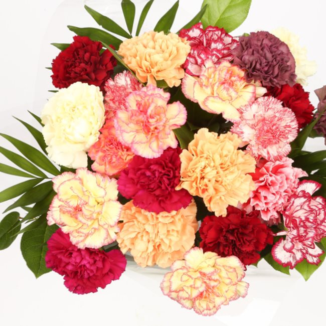 Congratulations Balloon & Candy Floss Flowers£19.99