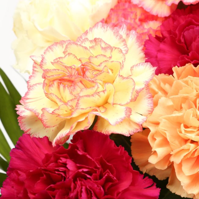 Congratulations Balloon & Candy Floss Flowers£19.99