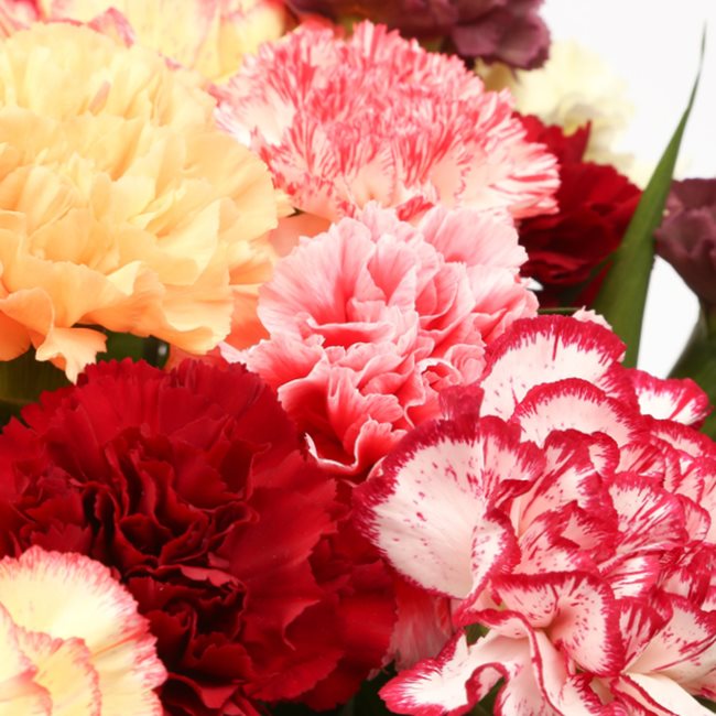 Congratulations Balloon & Candy Floss Flowers£19.99