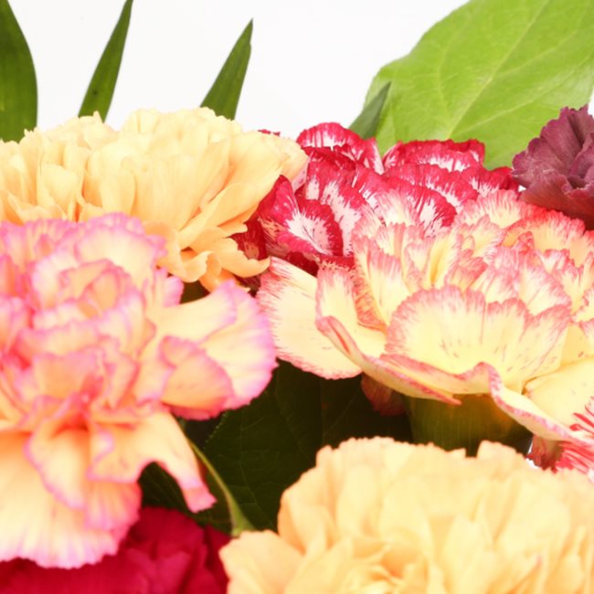 Congratulations Balloon & Candy Floss Flowers£19.99