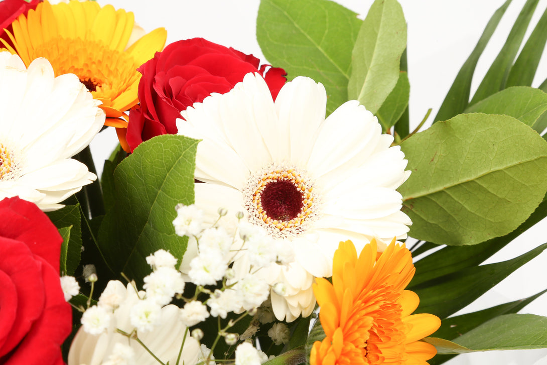 Celebration Flowers£19.99