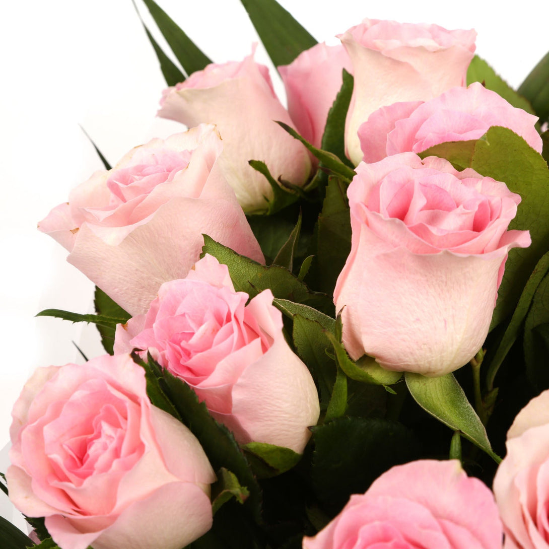 20 Beautiful Pink Roses & Get Well Balloon£21.99
