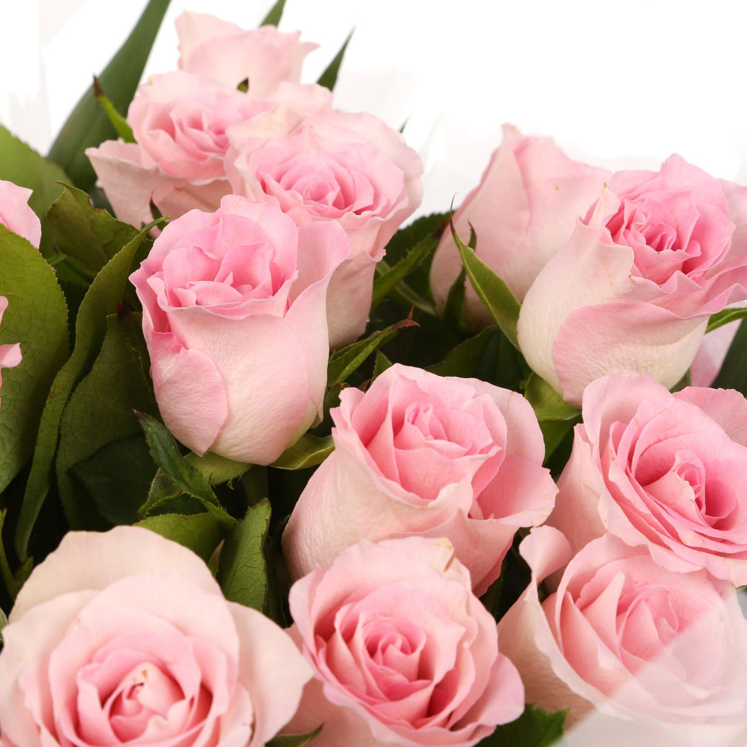 20 Beautiful Pink Roses Birthday Balloon£21.99