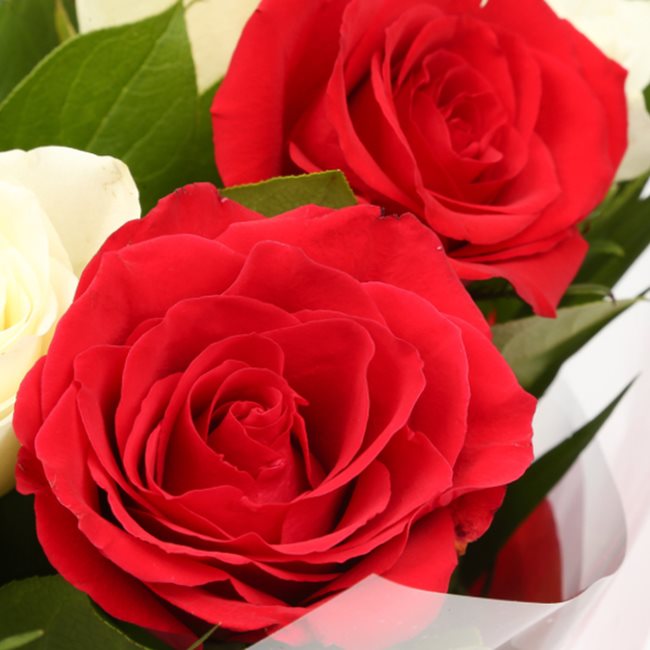 Love You Balloon & 12 Red & White Roses£19.99