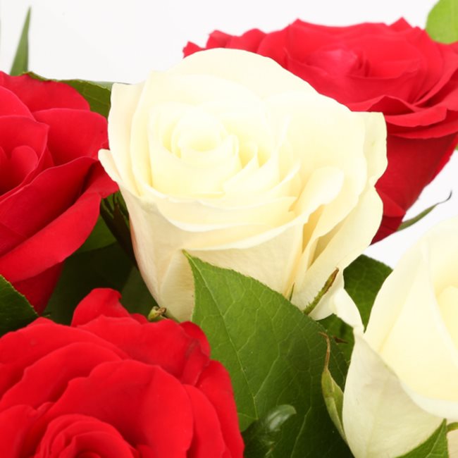 Love You Balloon & 12 Red & White Roses£19.99