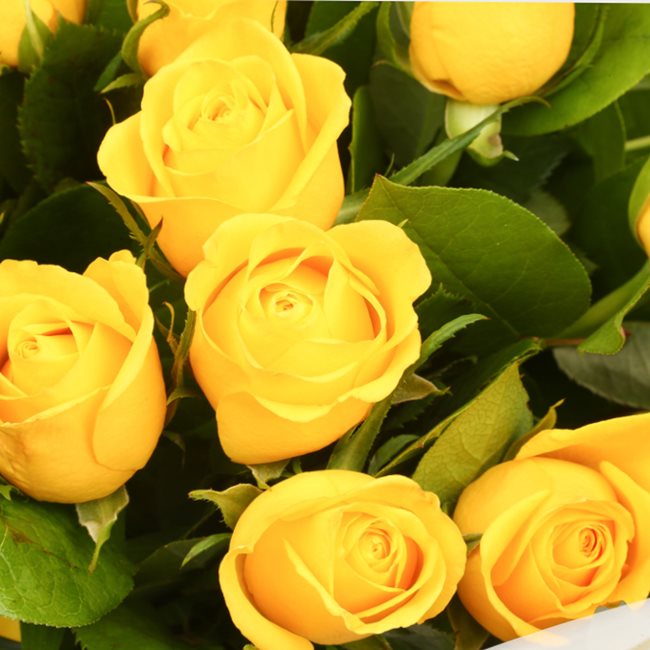 Love You Balloon & 12 Yellow Roses£19.99