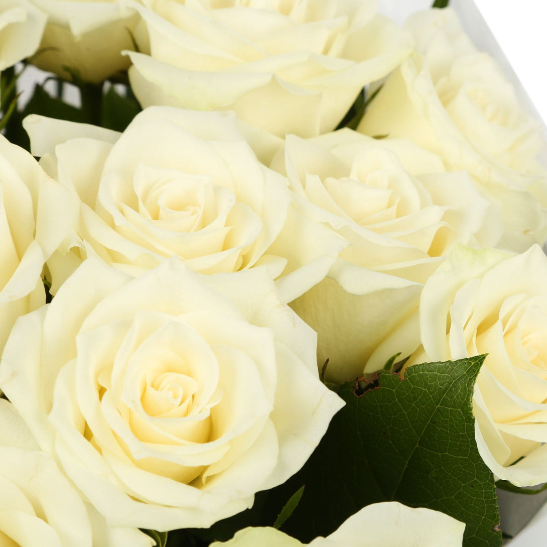 20 White Roses Bouquet & Get Well Balloon£21.99