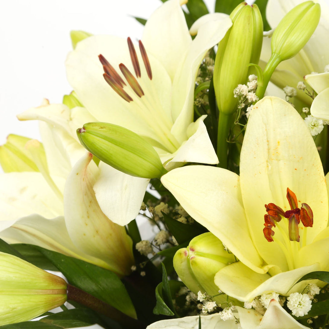 A Classic White Lilies Bouquet & Get Well Balloon£16.99
