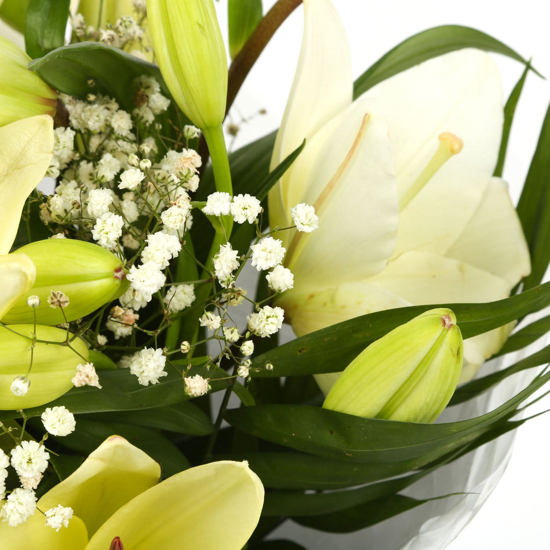 A Classic White Lilies Bouquet & Get Well Balloon£16.99