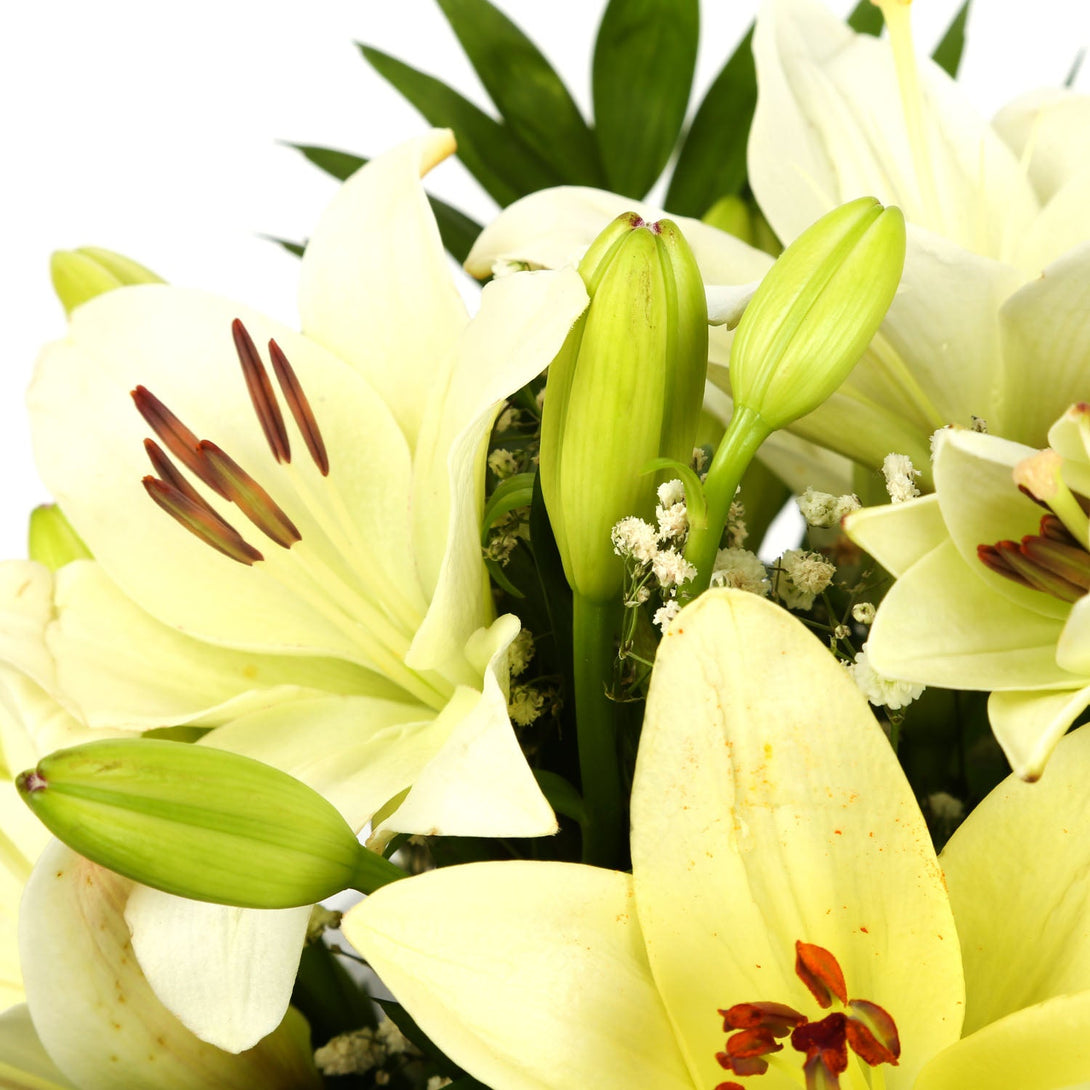 A Classic White Lilies Bouquet & Get Well Balloon£16.99
