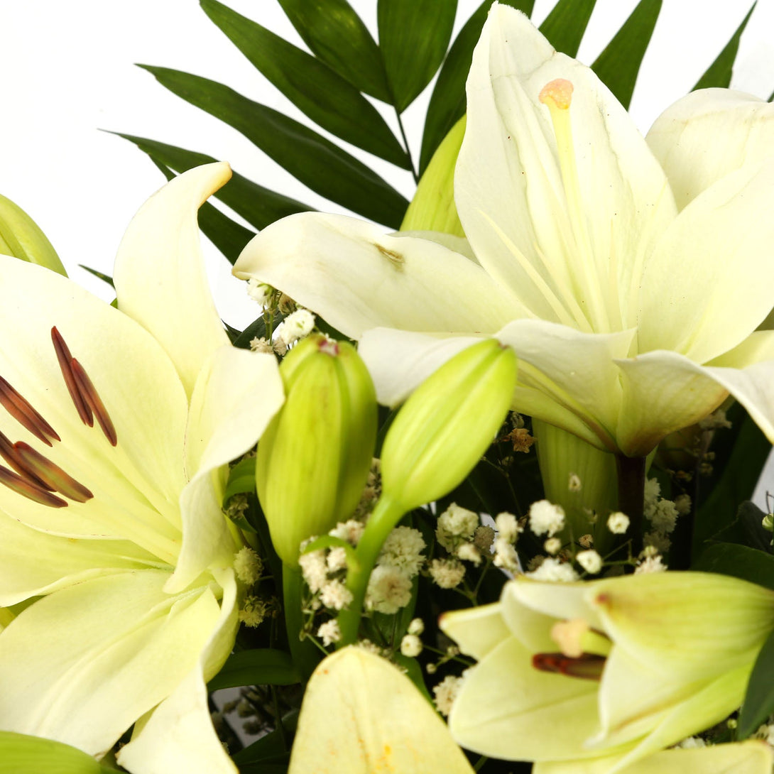 A Classic White Lilies Bouquet & Get Well Balloon£16.99