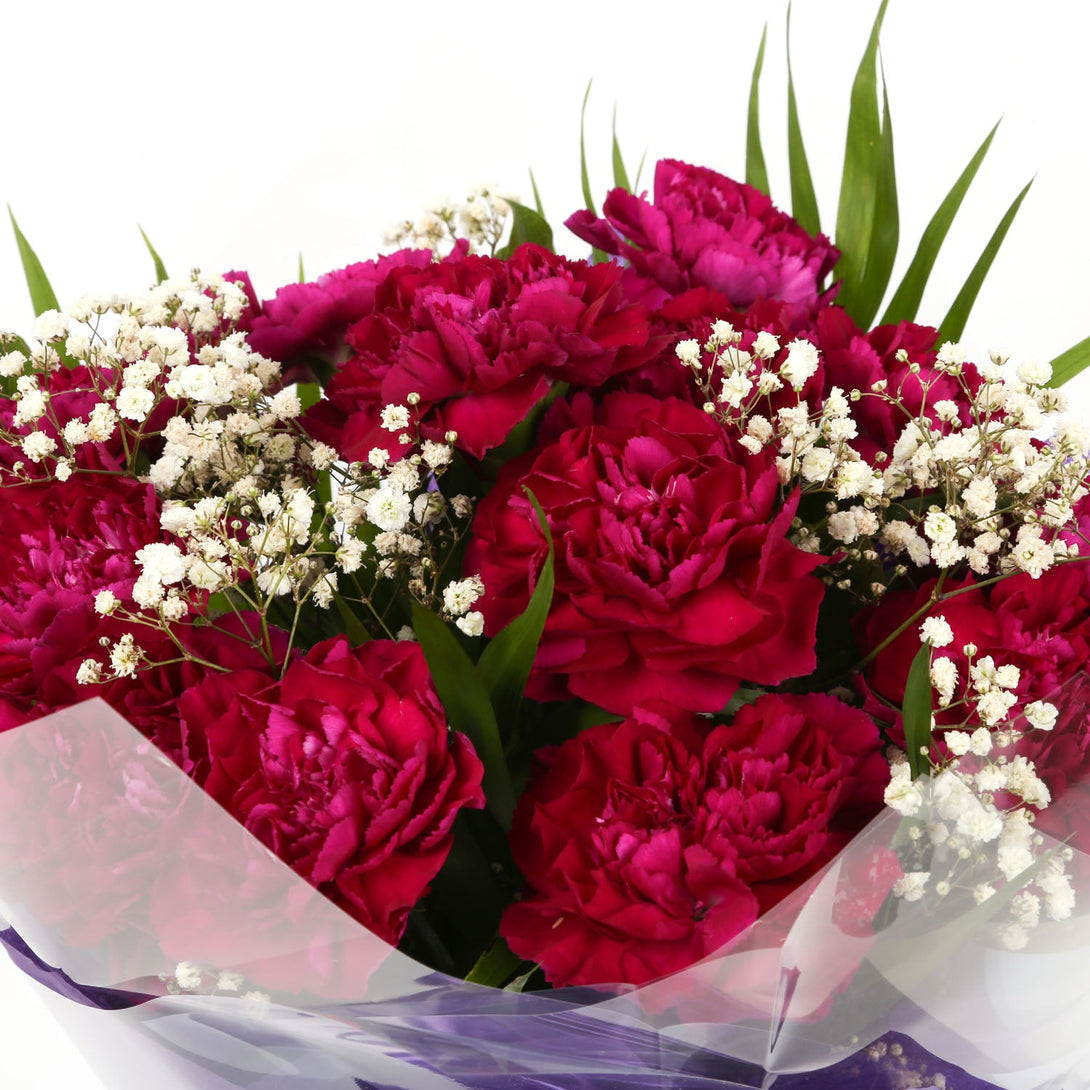 A Beautiful Cerise Carnations & Birthday Balloon£16.99