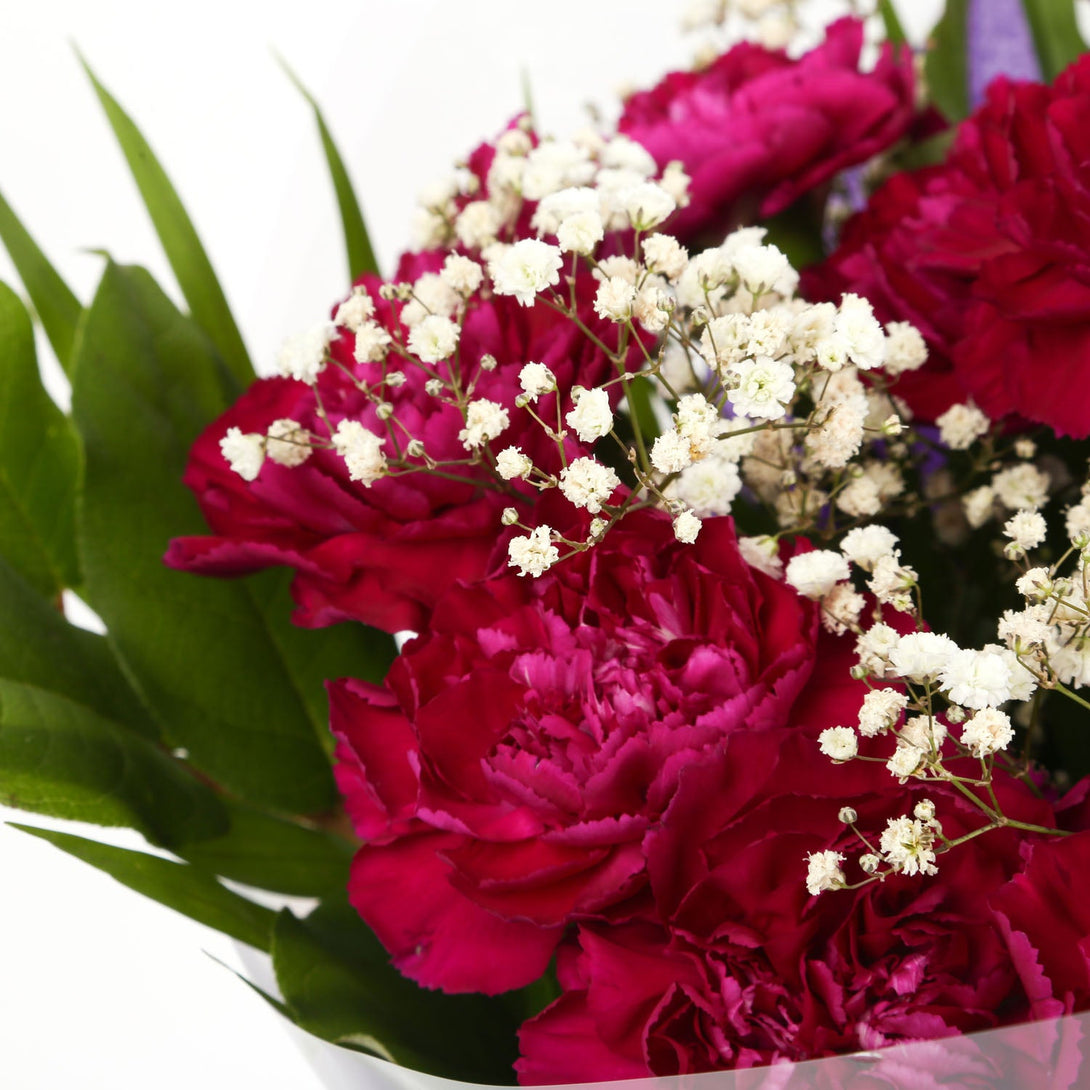 A Beautiful Cerise Carnations Melody & Get Well Balloon£16.99