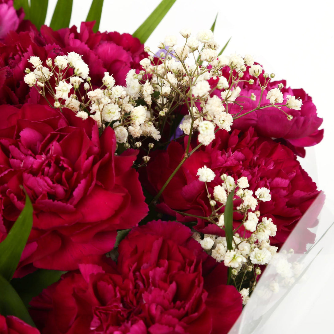 A Beautiful Cerise Carnations Melody & Get Well Balloon£16.99