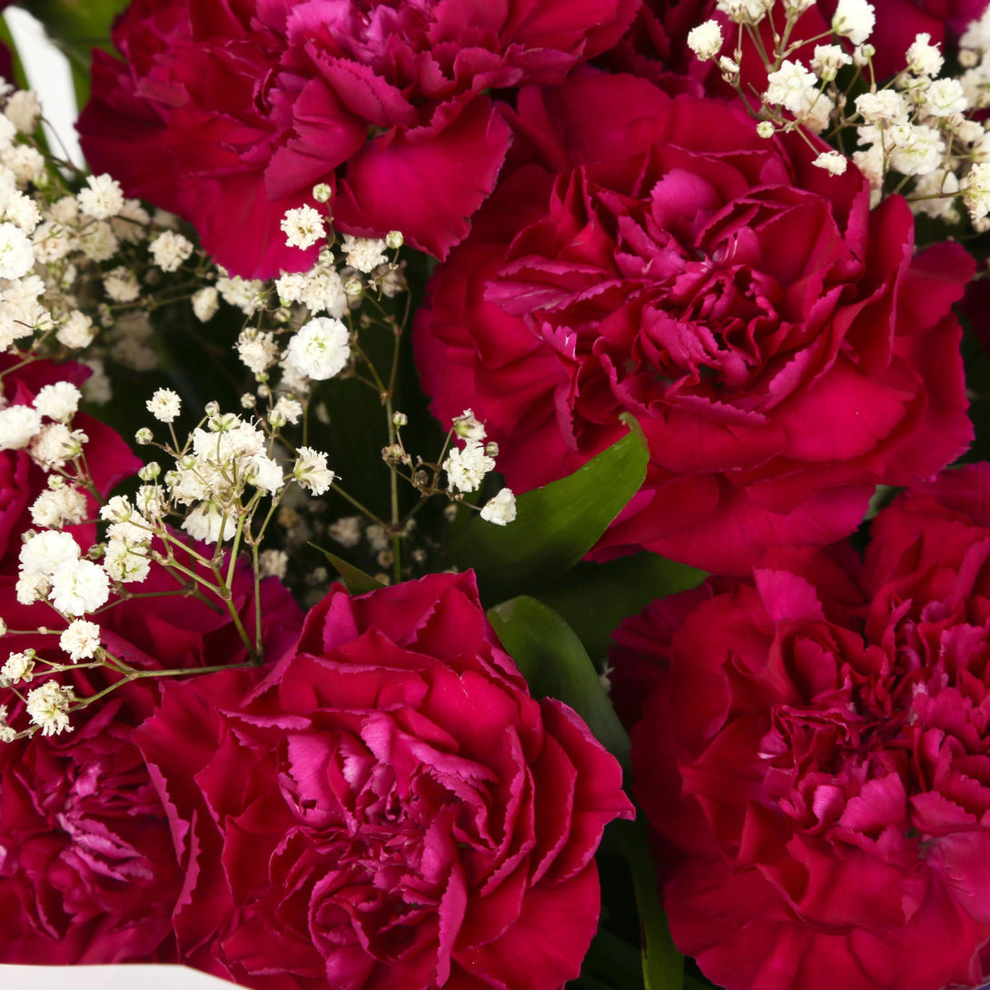A Beautiful Cerise Carnations & Birthday Balloon£16.99