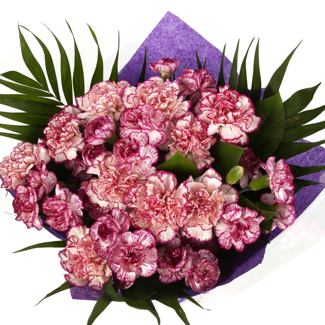 A Beautiful Purple Candy Carnations Melody£14.99