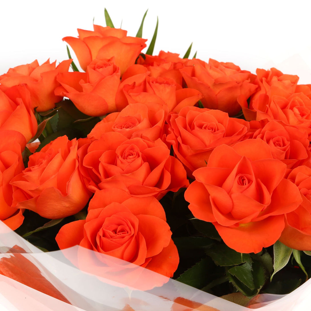 20 Orange Roses Bouquet & Get Well Balloon£21.99