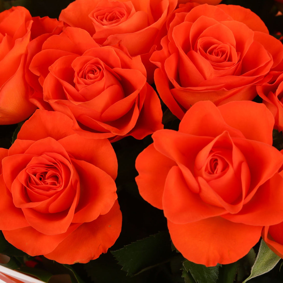 20 Orange Roses Bouquet & Get Well Balloon£21.99