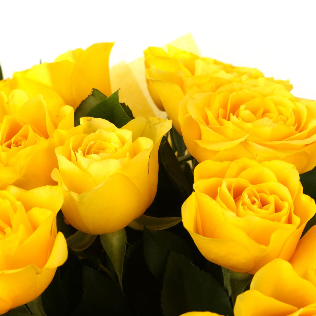 20 Luxury Yellow Roses & Birthday Balloon£21.99