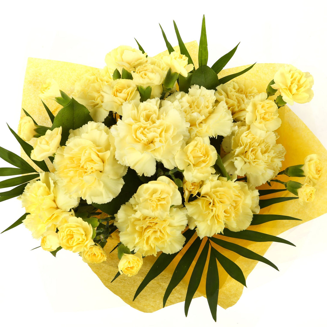 A Beautiful Gold Carnations Melody£14.99